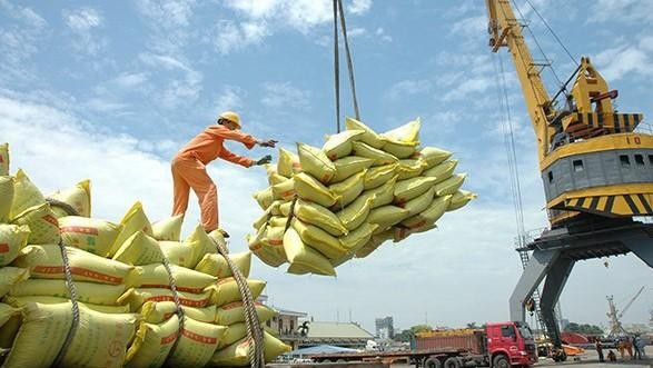 Giá lúa gạo đồng loạt tăng, thị trường xuất khẩu gạo sôi động.