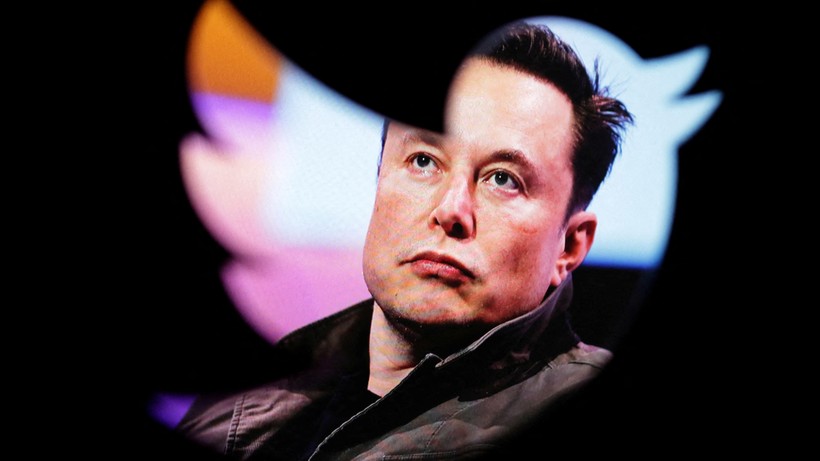 Ai sẽ làm CEO Twitter thay Elon Musk? (Ảnh: Internet)