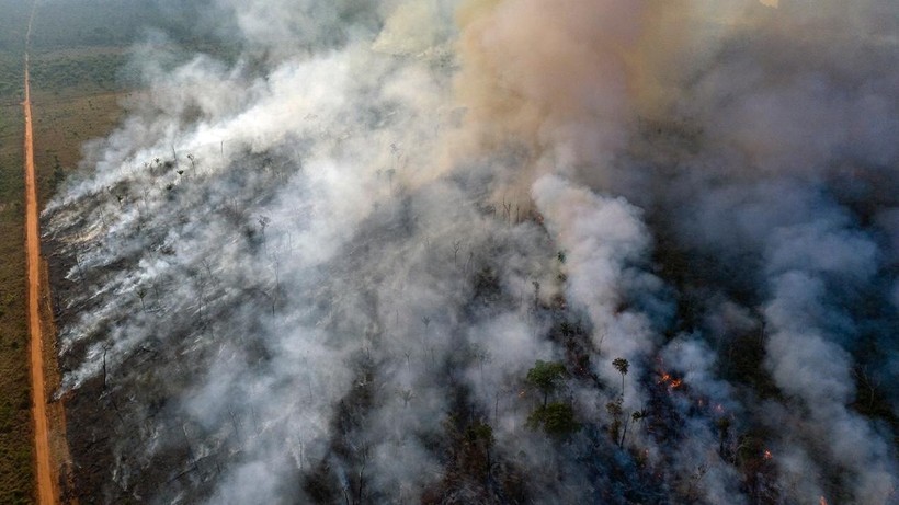 Thảm họa cháy rừng Amazon được báo chí Mỹ cho là có liên quan đến việc Trung Quốc nhập khẩu đậu tương của Brazil thay cho đậu Mỹ. (Ảnh: Đa Chiều)