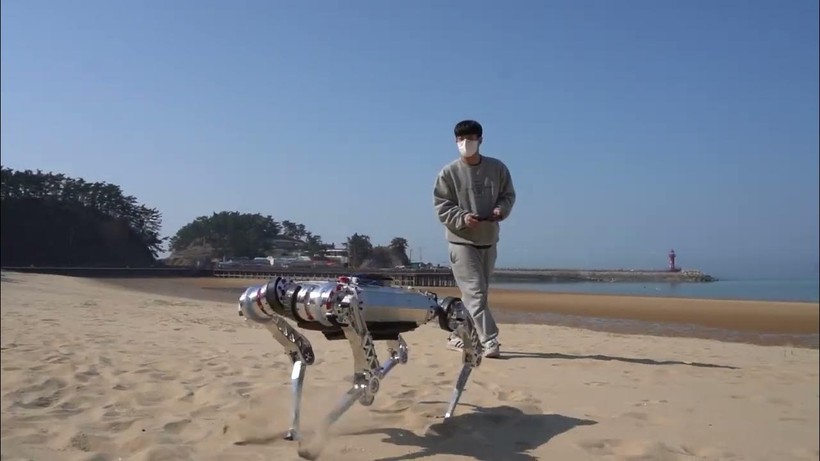 Robot 4 chân Raibo trong thử nghiệm. Ảnh video EuroNews