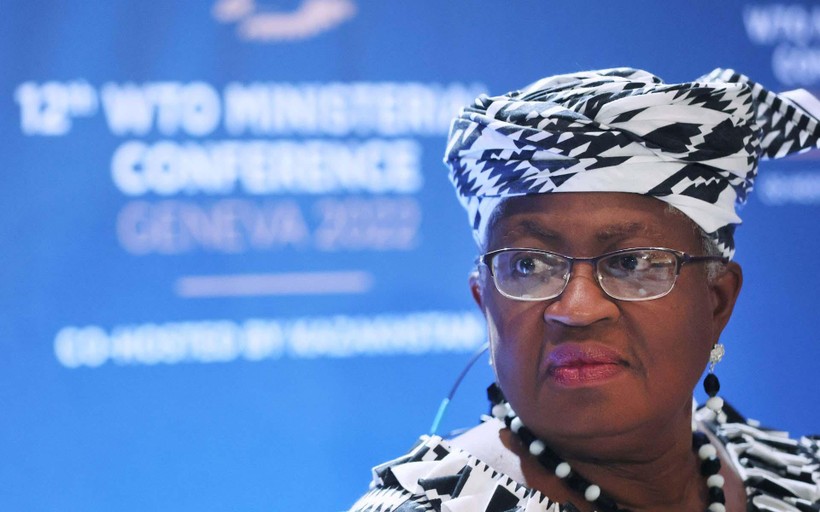 Tổng Giám đốc WTO Ngozi Okonjo-Iweala. (Nguồn: Reuters)