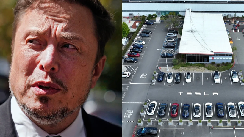 Giám đốc điều hành Tesla Elon Musk và nhà máy Tesla ở Fremont, California.