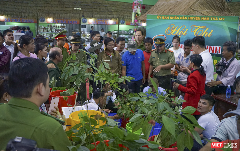 Phiên chợ sâm Ngọc Linh ở Quảng Nam (ảnh CTV)