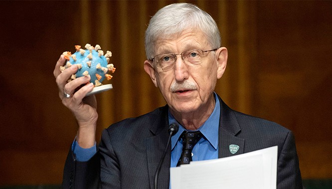 Tại một phiên điều trần về vaccine Covid-19, ông Francis Collins, Giám đốc Viện Sức khỏe Quốc gia (NIH) đưa ra mô hình của virus đang gây nên đại dịch toàn cầu. Ảnh: AP.
