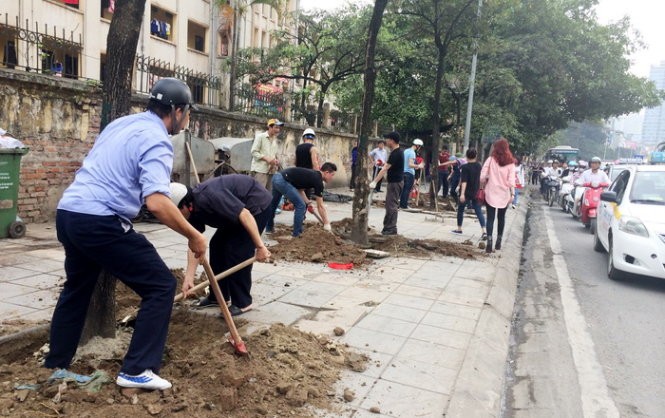 Cây xanh trên đường Nguyễn Chí Thanh bị chặt hạ để trồng cây mới hồi tháng 3-2015