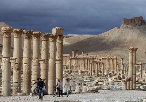 IS lại hành quyết người tại Palmyra 