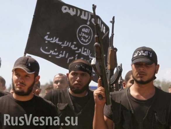 Nghi vấn Ukraine "nhập khẩu" chiến binh khủng bố IS đưa đến Donhesk và Lugask
