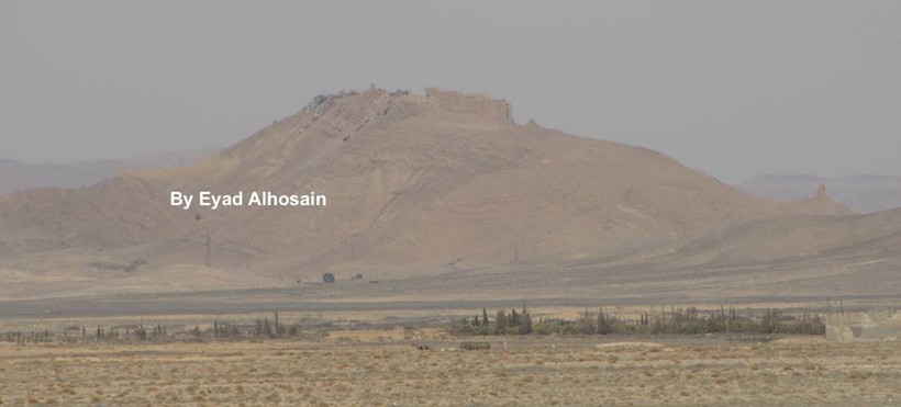 Lực lượng Tigers đánh chiếm đỉnh núi Musharraf, Palmyra