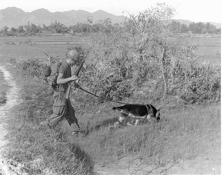 Lính Mỹ đi càn cũng với chó nghiệp vụ ở Miền Nam Việt Nam