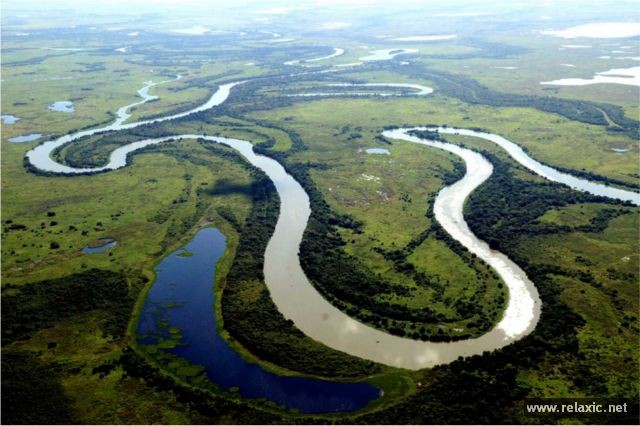 Khu thiên nhiên hoang dã Pantanal - bang Mato Grosso do Sul - Brazil