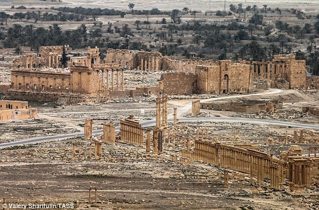 Toàn cảnh thành cổ Palmyra