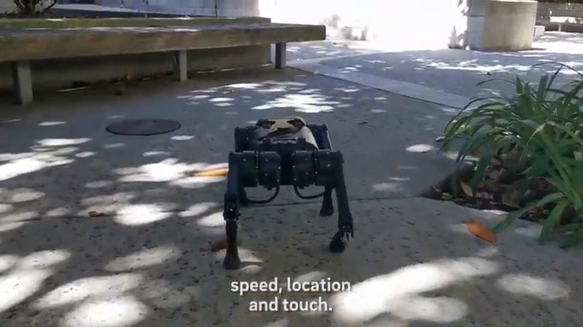 Robot 4 chân chạy trong môi trường thực tế. Ảnh Video Science X