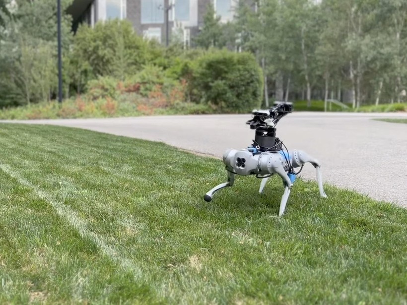 Chó robot, được AI huấn luyện thực hiện các động tác phức tạp. Ảnh The New Scientist