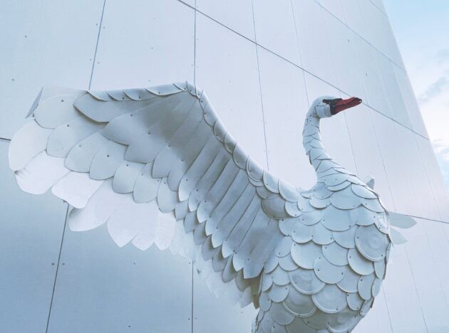 “Thiên nga Bắc Âu”, tác phẩm điêu khắc của Thomas Dambo làm từ 300 chiếc xô rác thải nhựa, trưng bày tại Bảo tàng Quốc gia Bắc Âu của Seattle. Ảnh GeekWire / Kurt Schlosser.