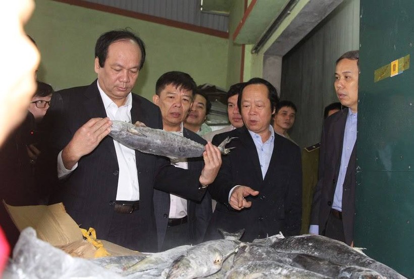 Bộ trưởng Mai Tiến Dũng kiểm tra hải sản tồn kho tại Quảng Bình
