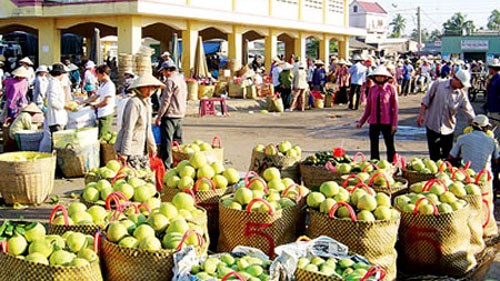 Kim ngạch nhóm hàng rau quả xuất khẩu sang Trung Quốc tăng 43,8% so với cùng kỳ năm ngoái
