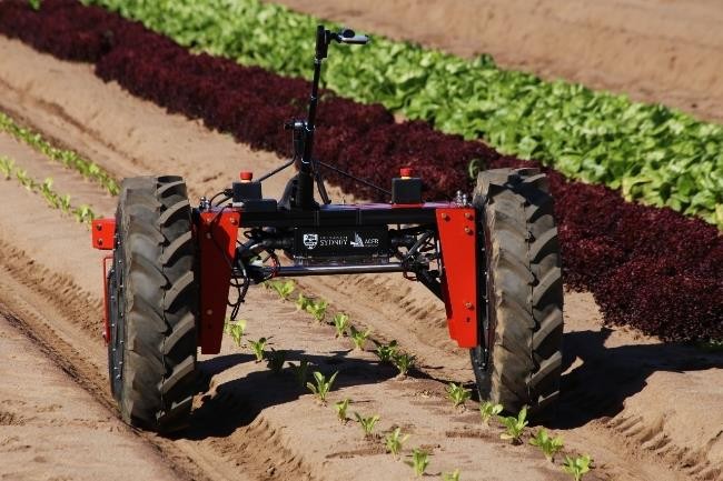 Robot Digital Farmhand, sản phẩm tuyệt vời của Agerris - Ảnh: Đại học Sydney