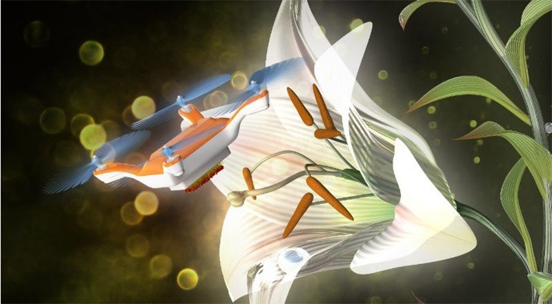 Dùng máy bay siêu nhỏ thụ phấn cho hoa