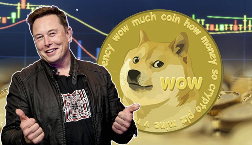 Elon Musk được biết là người có nhiều tweet cổ vũ cho Dogecoin