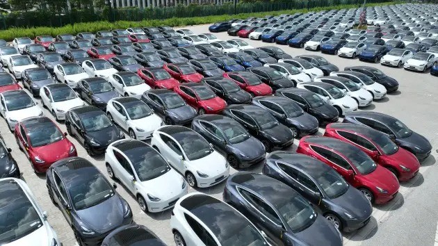 Các dòng xe Tesla đang chờ để đưa lên tàu tại cảng Nangang vào ngày 6 tháng 9 năm 2023 tại Thượng Hải, Trung Quốc (ảnh Getty Images)