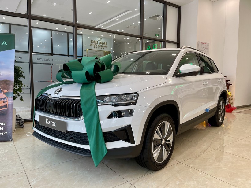 Skoda Karoq SUV 5 chỗ, nhập nguyên chiếc từ CH Séc được người tiêu dùng quan tâm Skoda trắng.jpg