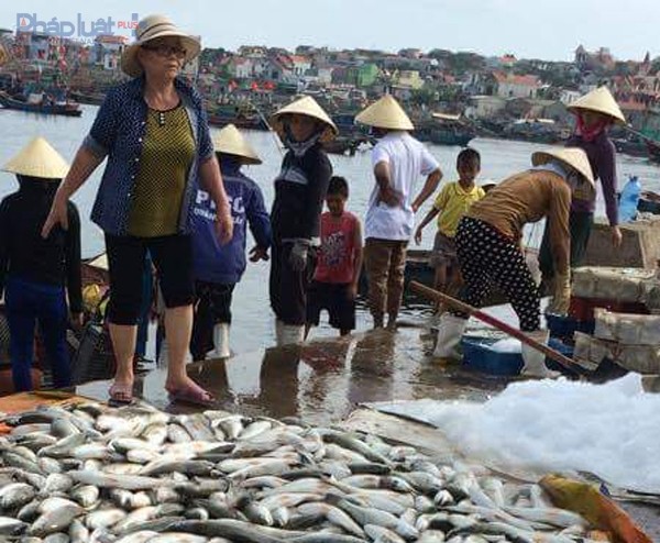 Khoảng 50 tấn cá lồng tại Vụng Nghi Sơn chết trắng- (Ảnh: Pháp Luật Việt Nam).