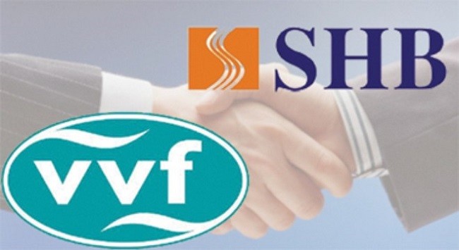VVF đã chính thức sát nhập vào SHB - (Ảnh minh họa)