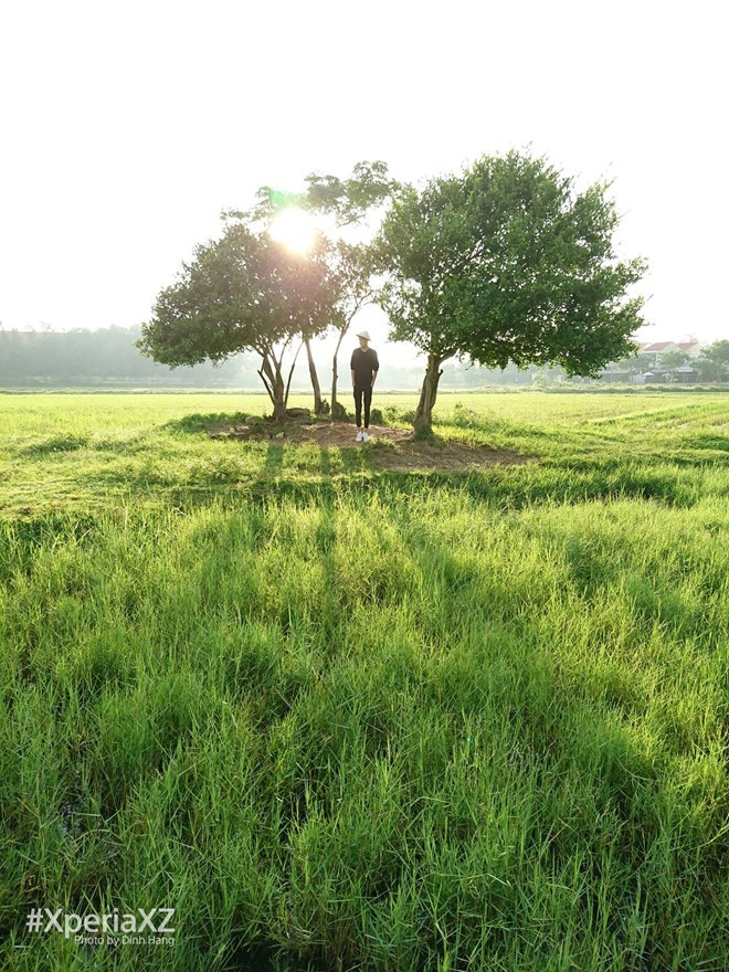 Bức ảnh chụp ngược sáng trên cánh đồng cỏ trải dài là tác phẩm được nhiều người yêu thích trong album chụp bằng Xperia XZ của Đinh Hằng.