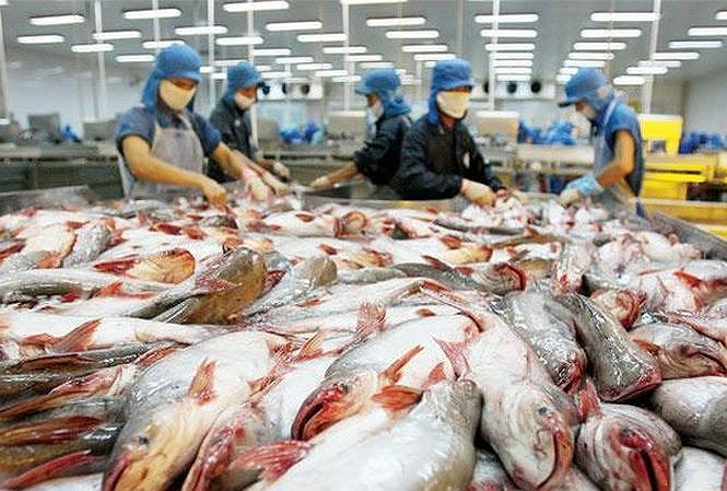 Mỹ đã giảm bớt áp lực lên Việt Nam liên quan thuế chống bán phá giá với sản phẩm cá da trơn Việt Nam. (Ảnh: Internet)