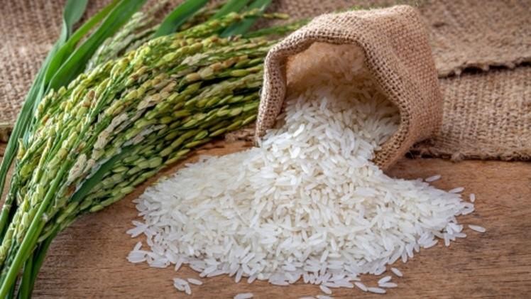 Năm 2021, sản lượng gạo của Việt Nam xuất khẩu sang ba khu vực gồm Châu Âu, Anh và Hàn Quốc dự kiến đạt khoảng 90.000 tấn (Nguồn: Internet)