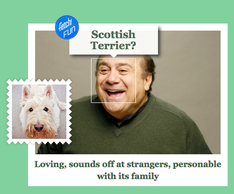 'Cười rơi hàm' với ứng dụng “Bạn là loài chó nào?“