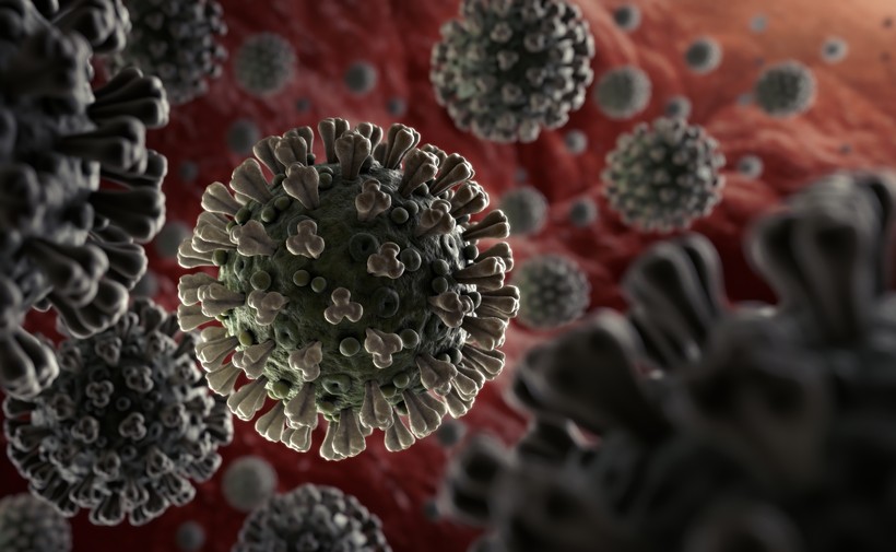 Nhiều người lo lắng về khả năng sống của virus corona chủng mới trên các bề mặt bị nhiễm (Ảnh: WHO)