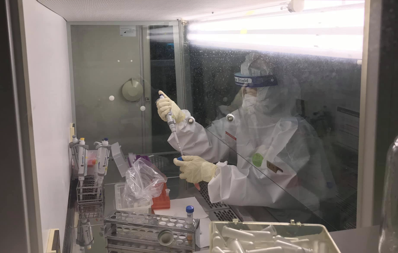 Nhân viên y tế lấy mẫu xét nghiệm COVID-19 trong phòng thí nghiệm (Ảnh - BYT) 