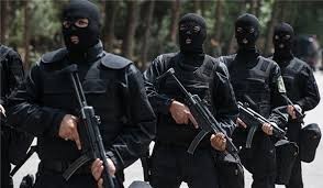 Cảnh sát đặc nhiệm Iran (ảnh minh họa)