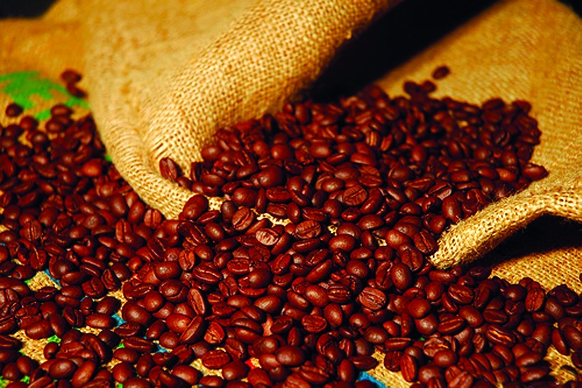 Do doanh nghiệp nước ngoài mua xuất khẩu nên cà phê VN bị ép giá