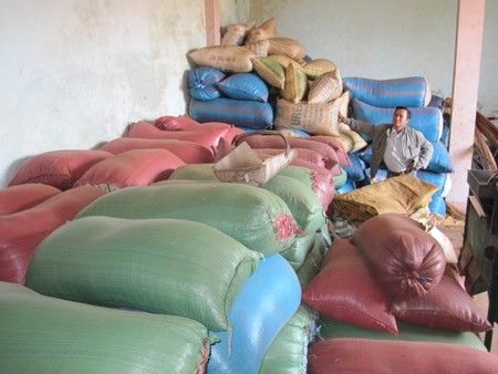 Cà phê Việt lỡ đường sang Mỹ do nông dân găm hàng chờ giá 