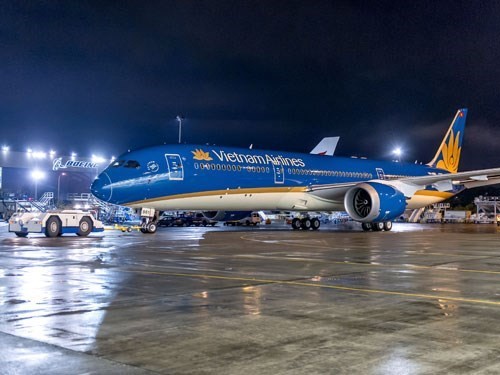 Máy bay mới Boeing 787-9 Dreamliner kế thừa màu xanh đặc trưng và hình ảnh bông sen vàng, với đường lượn màu vàng tinh tế, tăng kích cỡ logo hoa sen, sử dụng màu kem nhạt ở phần bụng máy bay