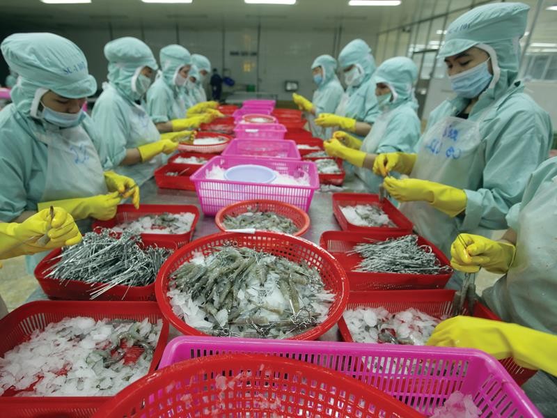 Kim ngạch xuất khẩu của Việt Nam đang bị ảnh hưởng bởi các mặt hàng thủy sản đang giảm sút cả về lượng và giá. 