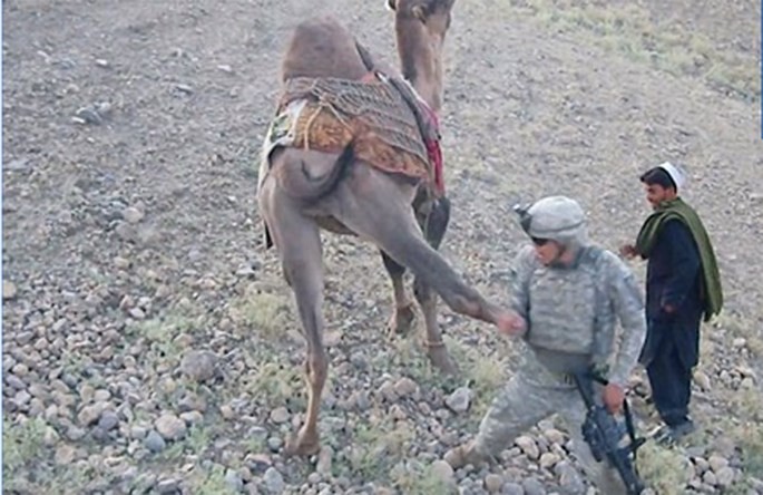 Lính Mỹ chưa kịp sờ đã bị lạc đà tung một chưởng - Ảnh chụp từ clip
