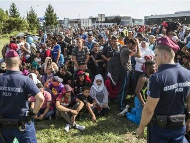 Cảnh sát Hungary và người tị nạn tại cửa khẩu với Croatia. Ảnh: AP