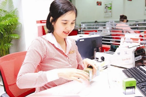 Ở thị trường Việt Nam, dải lương dành cho các vị trí quản lý cấp trung và giám đốc tại các các công ty nước ngoài và một số tập đoàn lớn của Việt Nam trong ngành tài chính - ngân hàng - bảo hiểm hiện đứng thứ hai trong các ngành, sau ngành dược phẩm - y t