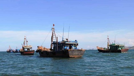 Việt Nam cam kết xóa bỏ trợ cấp trong đánh bắt cá, minh bạch mọi dữ liệu liên quan đến đánh bắt, bảo vệ môi trường. Ảnh: Đ.TRUNG