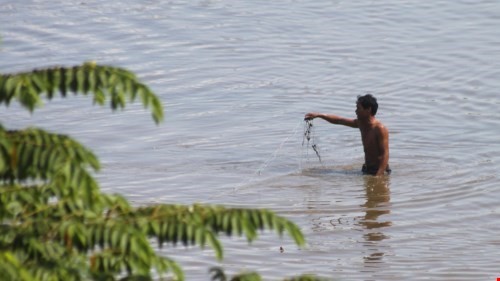 Người dân bắt cá trong hồ nhiễm dioxin trong sân bay Biên Hòa - Ảnh: Tiểu Thiên