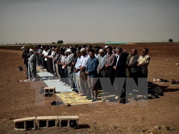 Người Kurd ở Thổ Nhĩ Kỳ và Syria cầu nguyện tại khu vực ngoại ô Suruc, tỉnh Sanliurfa (Thổ Nhĩ Kỳ) gần thị trấn Kobane ngày 10/10. (Nguồn: AFP/TTXVN)