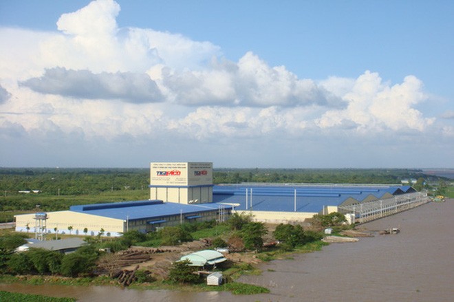 Công ty Nông sản thực phẩm Tiền Giang có nhiều khuất tất trong việc cho thuê Nhà máy Chế biến Thủy sản Cổ Lịch Ảnh: MINH LONG