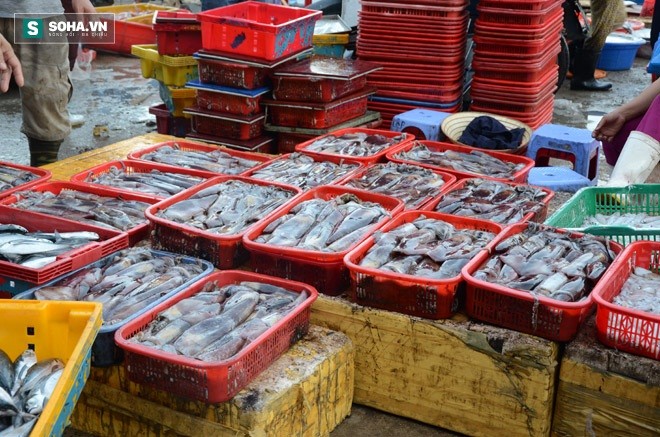 Đà Nẵng “chốt” danh sách chợ bán hải sản sạch trên địa bàn