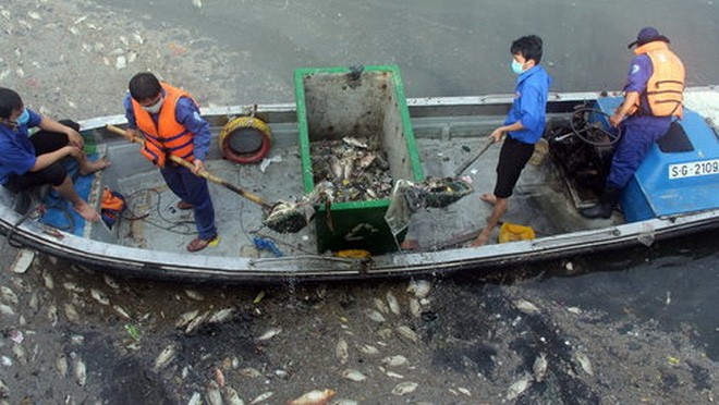 Các công nhân vớt xác cá nổi trên kênh Nhiêu Lộc - Thị Nghè đoạn gần cầu số 5 sáng 18-5 - Ảnh: Q.Khải