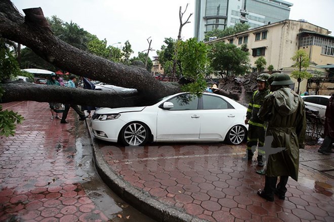 Gió lớn quật đổ cây, đè bẹp xe ô tô trenen phố Hai Bà Trưng, Hà Nội