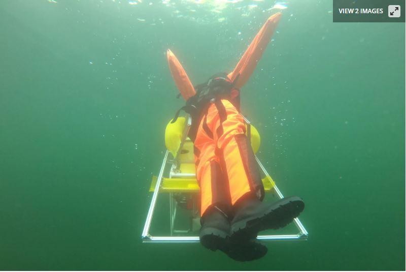 Robot cứ những người đuối nước (Ảnh: New Atlas)