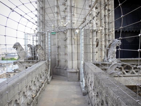 Chùm ảnh về vẻ đẹp của Nhà thờ Đức Bà Paris trước vụ hỏa hoạn làm sập mái vòm và tháp đêm 15/4 ảnh 28